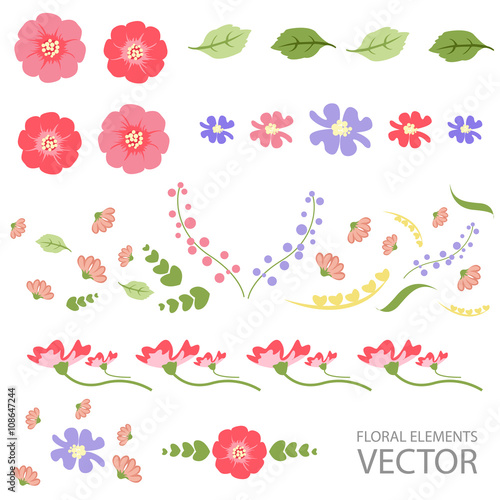 Floral elements vector