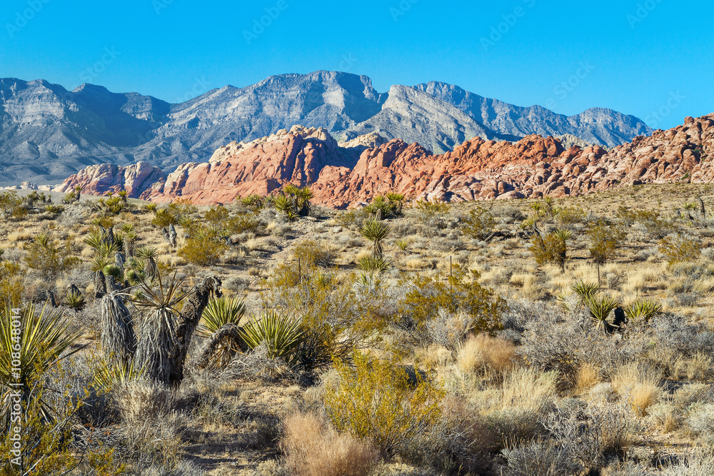 Red Rock Canyon, Southern Nevada, USA