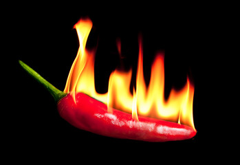 Papier peint photo Piments forts Piment rouge avec flamme vive  © showcake