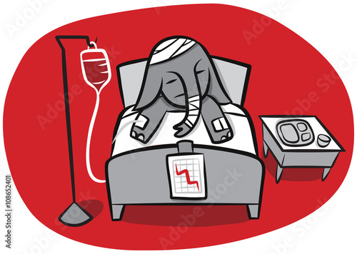 Sick Elephant