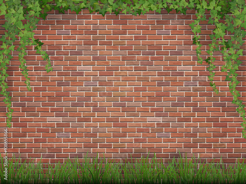 Rural background. Ivy and grass on brick wall background.