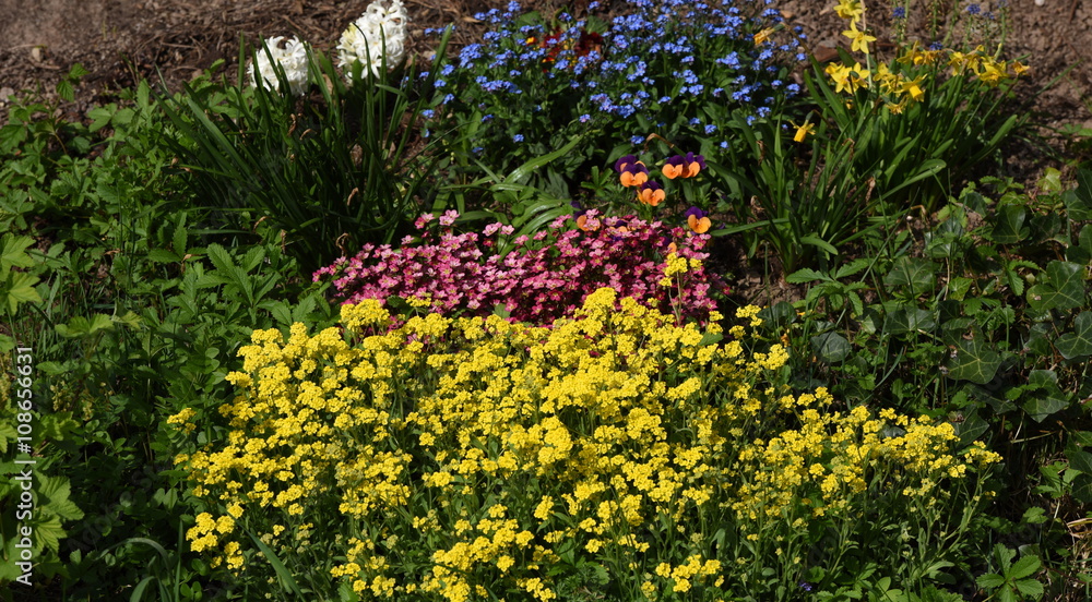 Fototapeta premium jardinage...fleurs