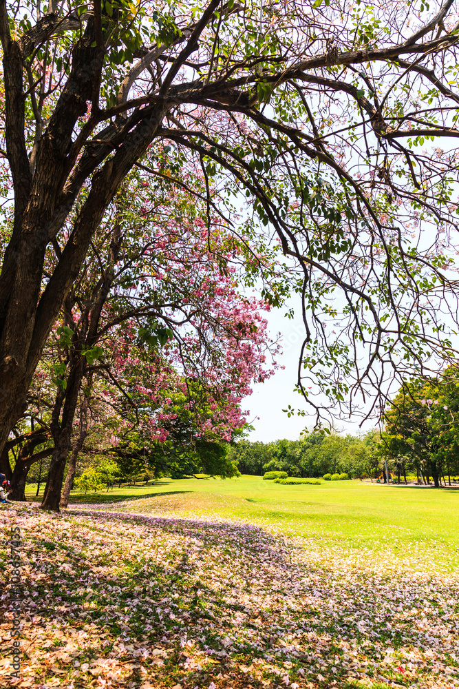 Beautiful Park