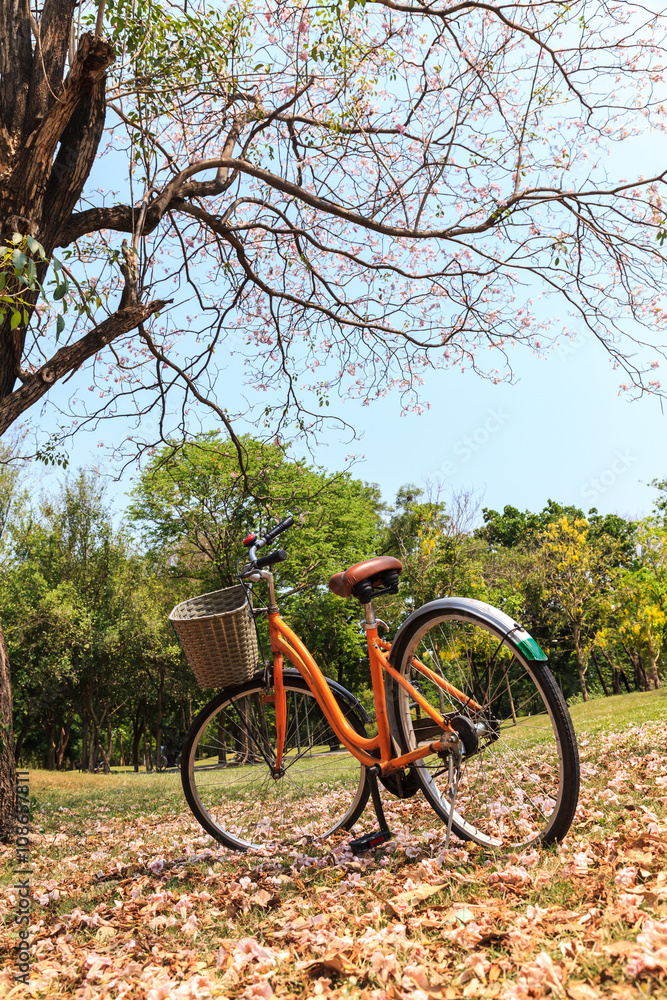 Naklejka premium Bicycle in the park
