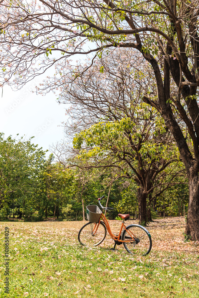 Obraz premium Bicycle in the park