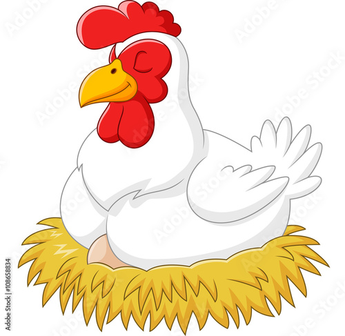 Cute hen brooding her egg