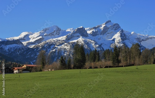 Springtime in the Swiss Alps