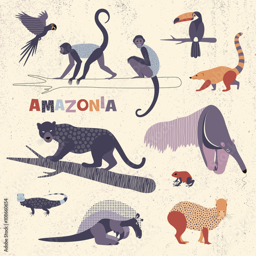 Set of Amazonian animals