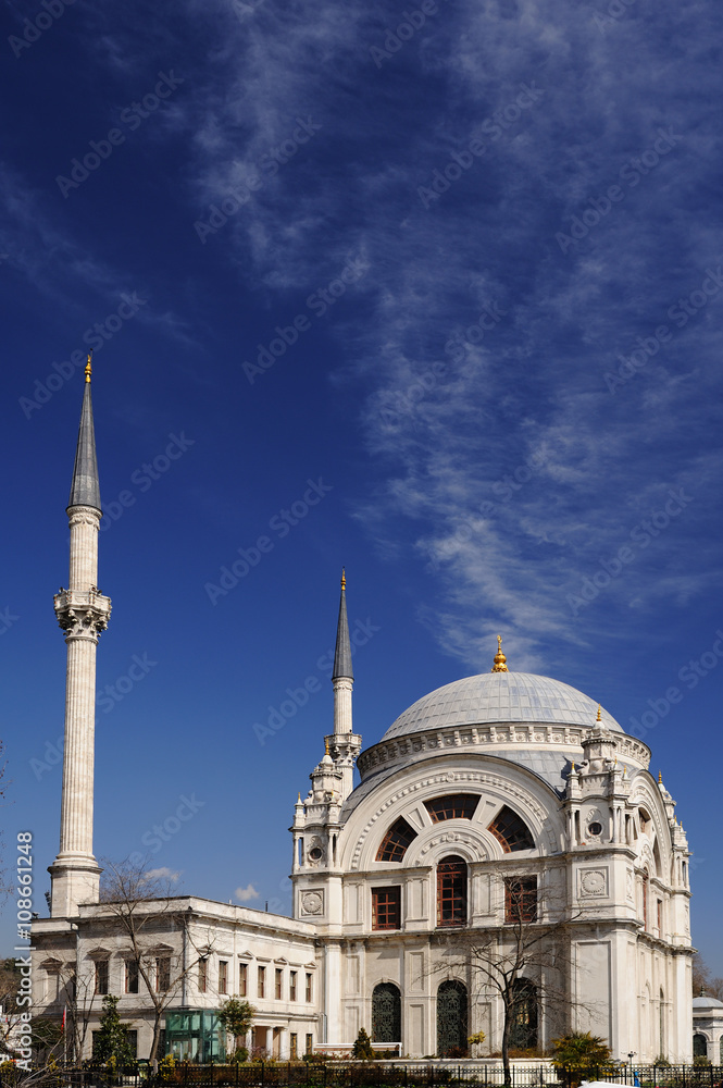 Fototapeta premium Dolmabahce Mosque in Istanbul, Turkey