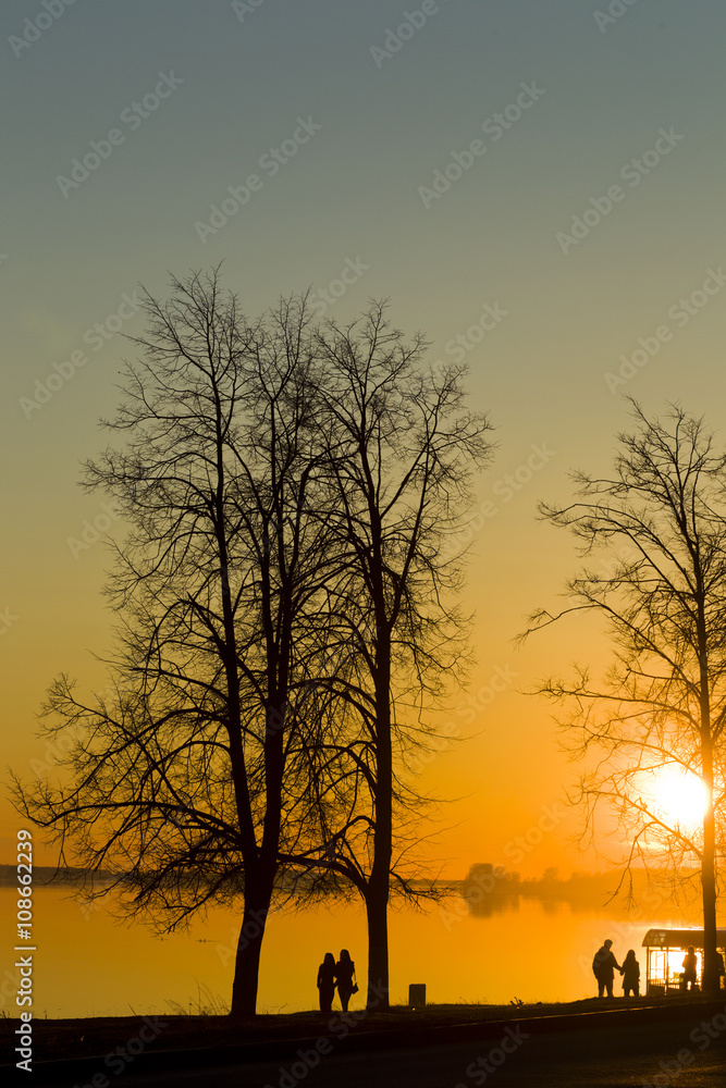 Fototapeta premium Sunset spring evening on the background of the river