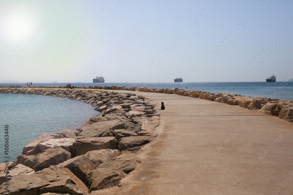 Resort of Eilat. A pier in the sea. on the horizon the ships. The cat sits and looks towards the sea