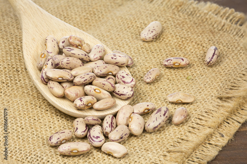 Borolotti beans Saluggia in a wooden background photo