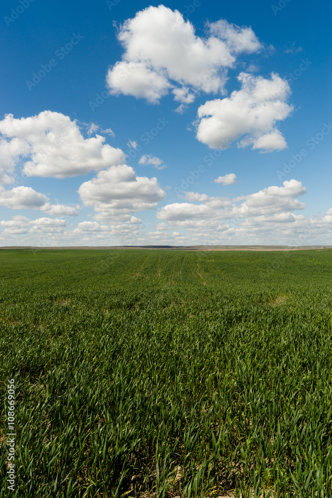 Farm Field Springtime Horizon Rural Countryside Fluffy Clouds Farm Field Springtime Horizon Rural Countryside Fluffy Clouds