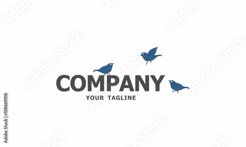 Birds Logo by OriQ
