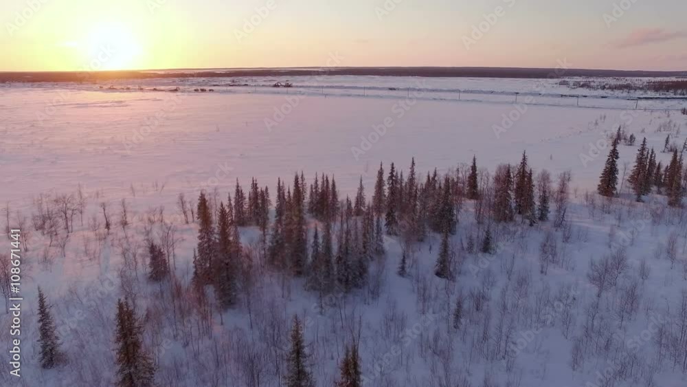 snow winter trees on sunset. woods forest landscape. beautiful nature. aerial view snow winter trees on sunset. woods forest landscape. beautiful nature. aerial view