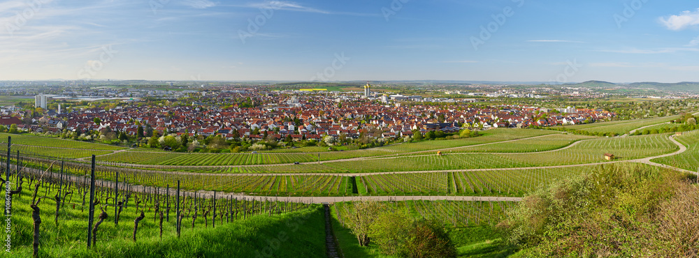 Panorama Fellbach im Remstal