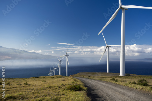 Wind turbines. Maui, Hawaii, USA photo