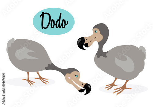Dodo bird illustration. Cartoon style. Extinct bird. Vector bird. The dodo (Raphus cucullatus) is an extinct flightless bird. On white  background.