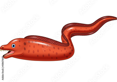 Illustration of Moral eel