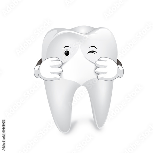 White tooth. Healthy tooth. A tooth isolated on white background.