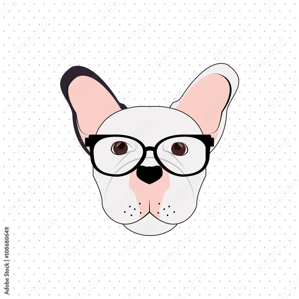 Fototapeta premium french bulldog design, pet and animal concept 