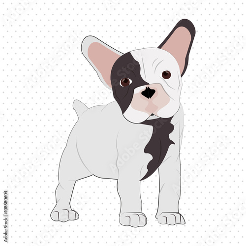  french bulldog design, pet and animal concept 