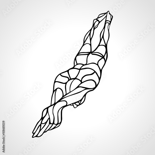 Freestyle Swimmer Silhouette. Sport swimming