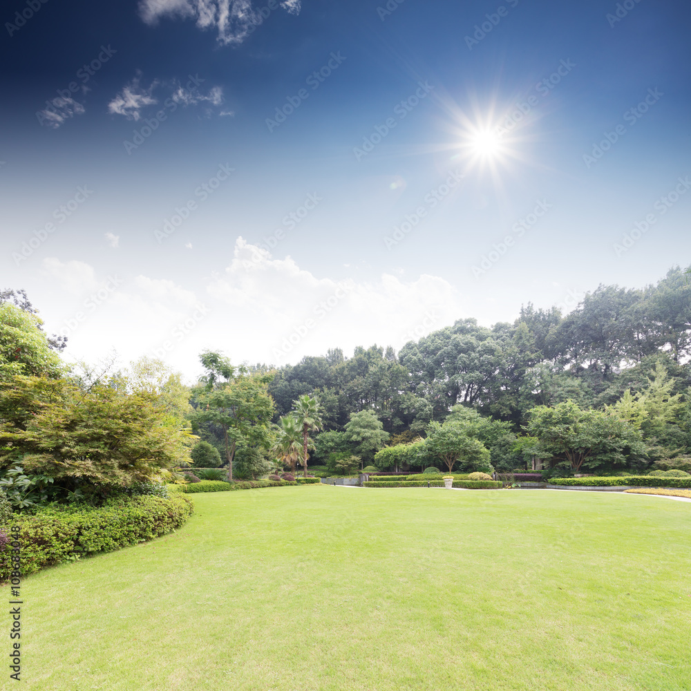 beautiful grassland in back yard of holiday hotel