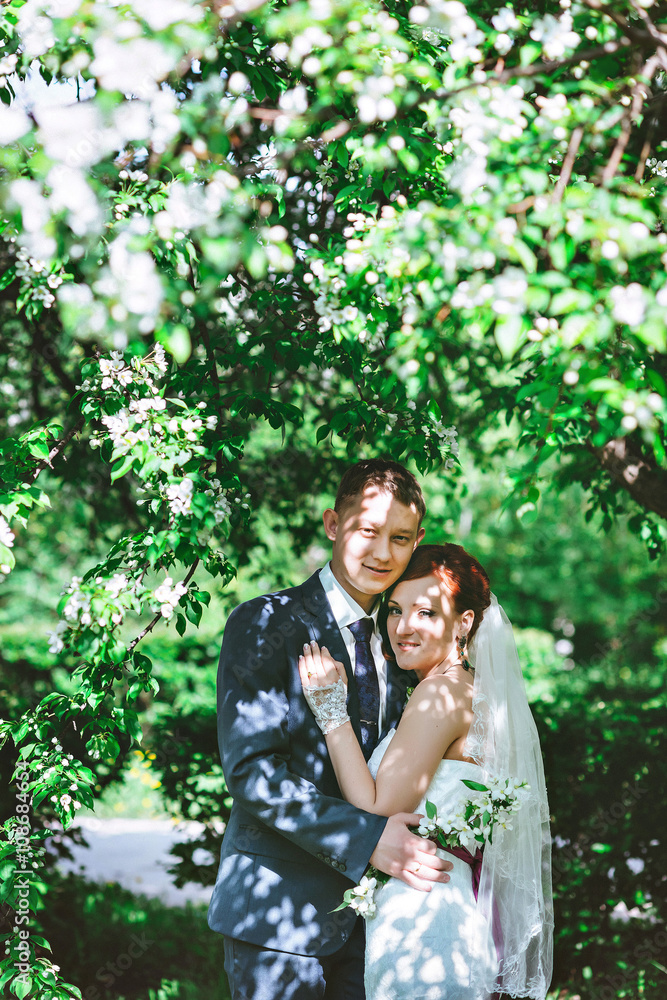 Fototapeta premium The couple in the Apple trees, looking at camera, a flowering white tree.
