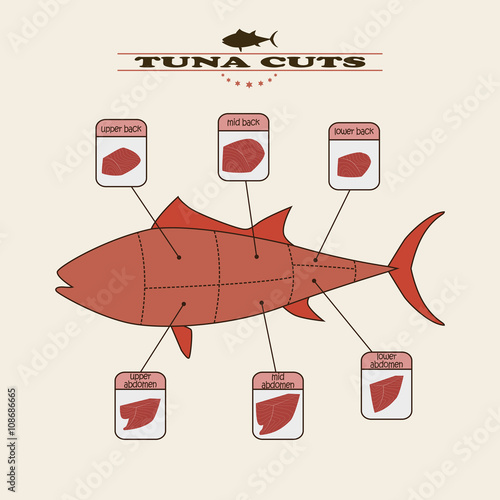 partes del atun