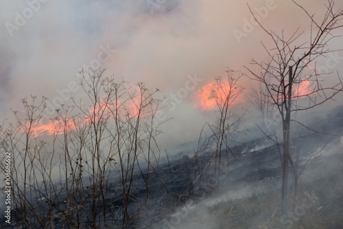 The fire was burning last year's dried plants © Dobrydnev