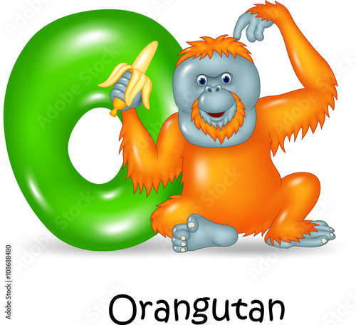 Illustration of O Letter for Orangutan