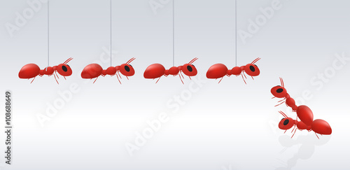 ant helping ant friend