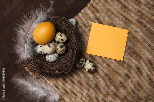 Easter eggs in a nest photo