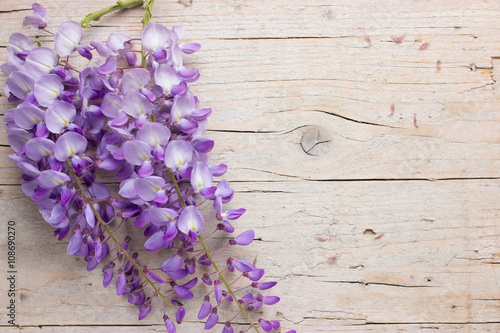 Violet wisteria flowers on white wooden background with copy space