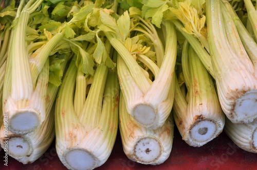 Green Celery (Apium graveolens) vegetables