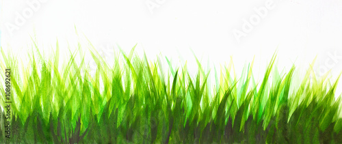 watercolor abstract background with green grass over white