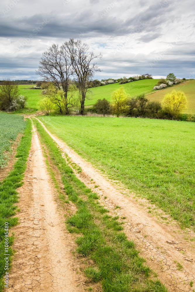 Dirt road through green pastures and cloudy sky