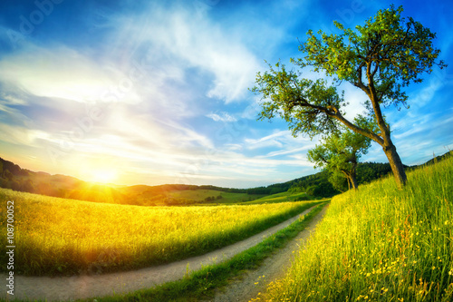 Fototapet Idyllische Landschaft bei Sonnenuntergang