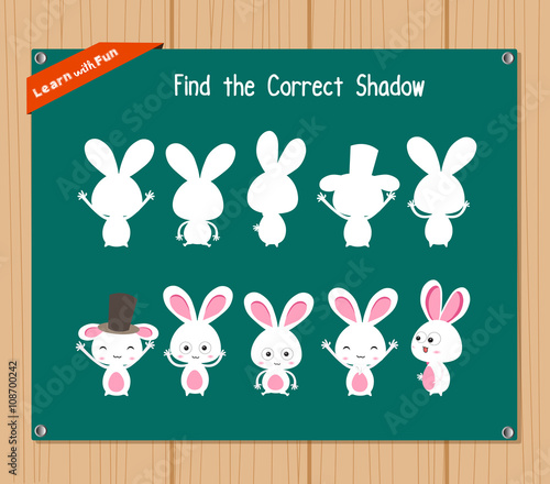 Find the correct shadow, education game for children - Bunny