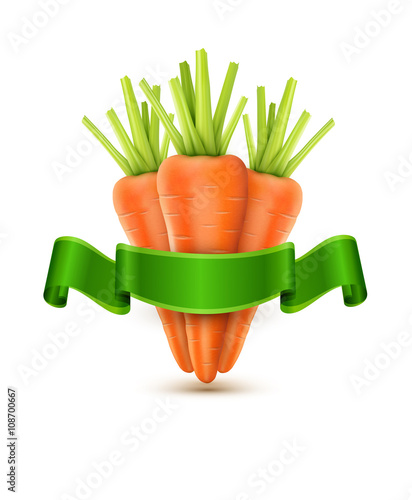 vector three carrots isolated on white background with green rib