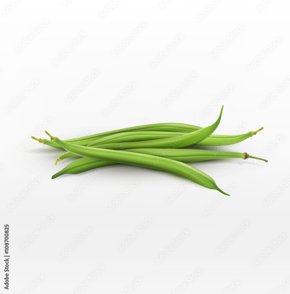 vector bunch of green beans isolated on white background vector bunch of green beans isolated on white background
