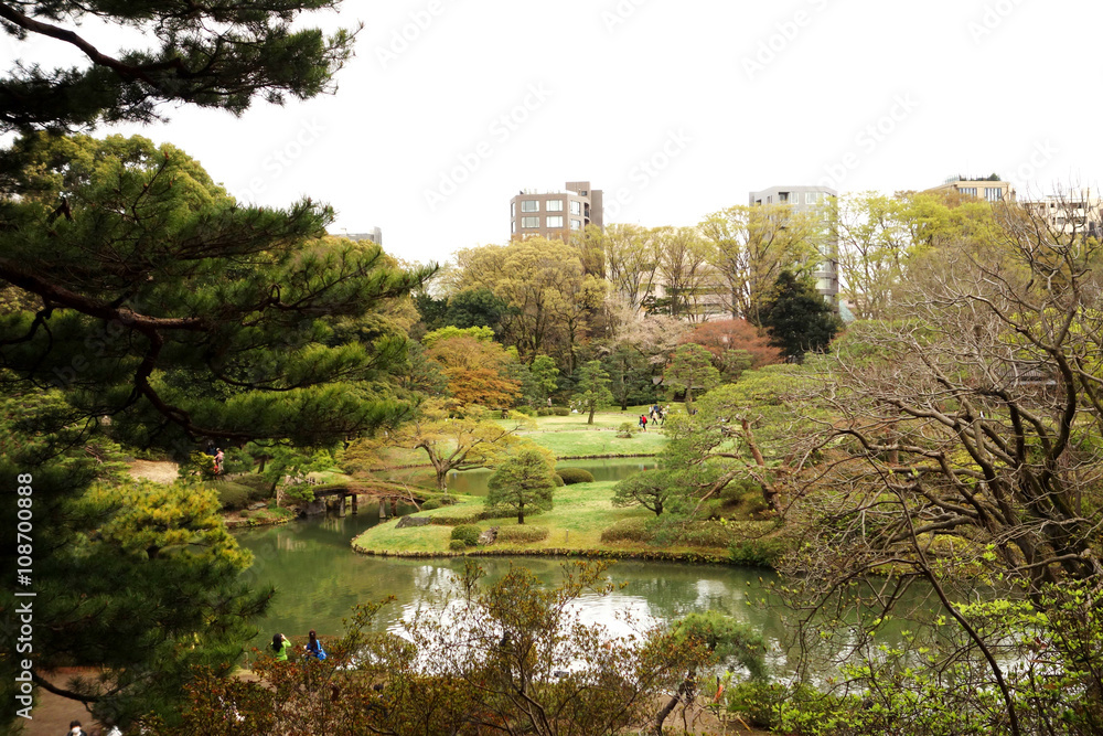 六義園 六義園