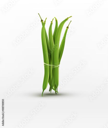 vector green beans bound sheaf isolated on white background