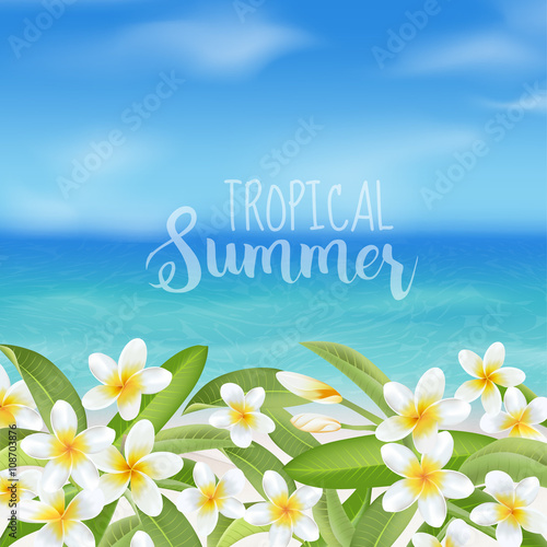 Tropical Background. Tropical Flower Plumeria. Sea View Background