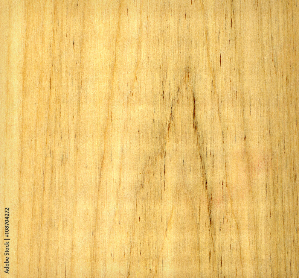 Fototapeta premium Wood texture with natural pattern
