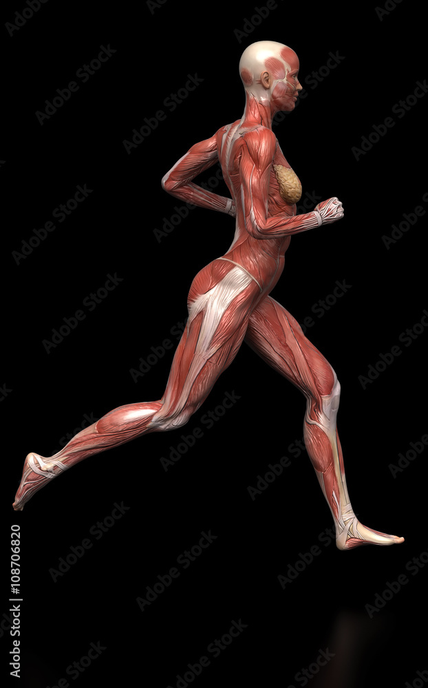 Fototapeta premium Running woman with visible muscles on black