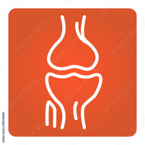 2D Vector Spinal column Musculoskeletal Image with Rounded Rectangle on White Background