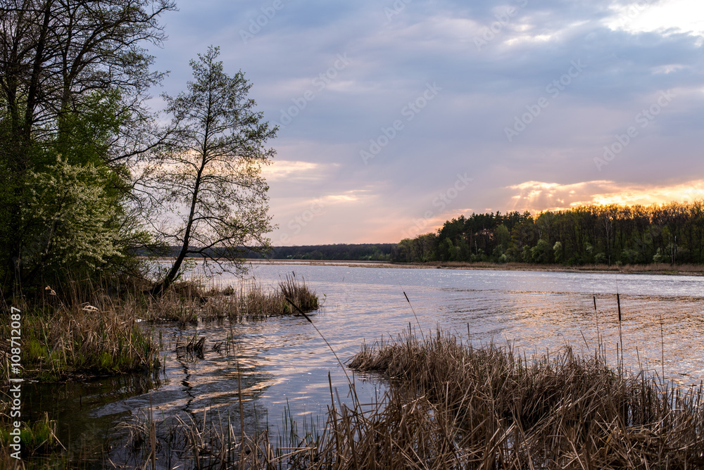 Serenity on the river