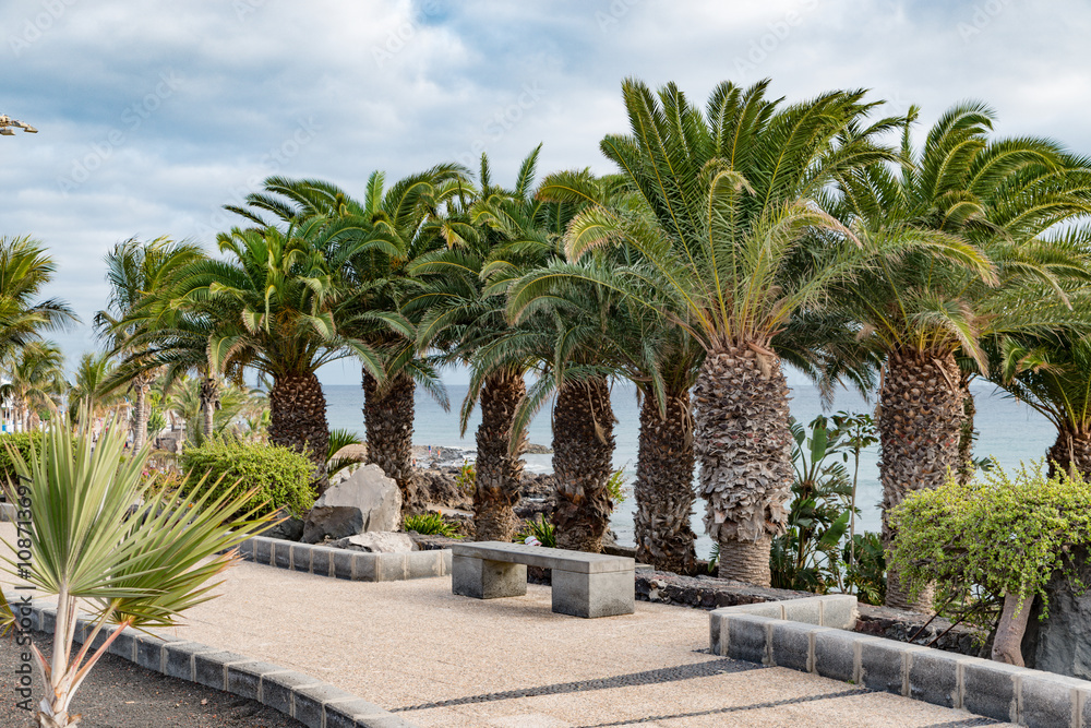 Lanzarote Palmen und Kakteen mit Blick auf den Atlantik bei bewölktem Himmel Lanzarote Palmen und Kakteen mit Blick auf den Atlantik bei bewölktem Himmel